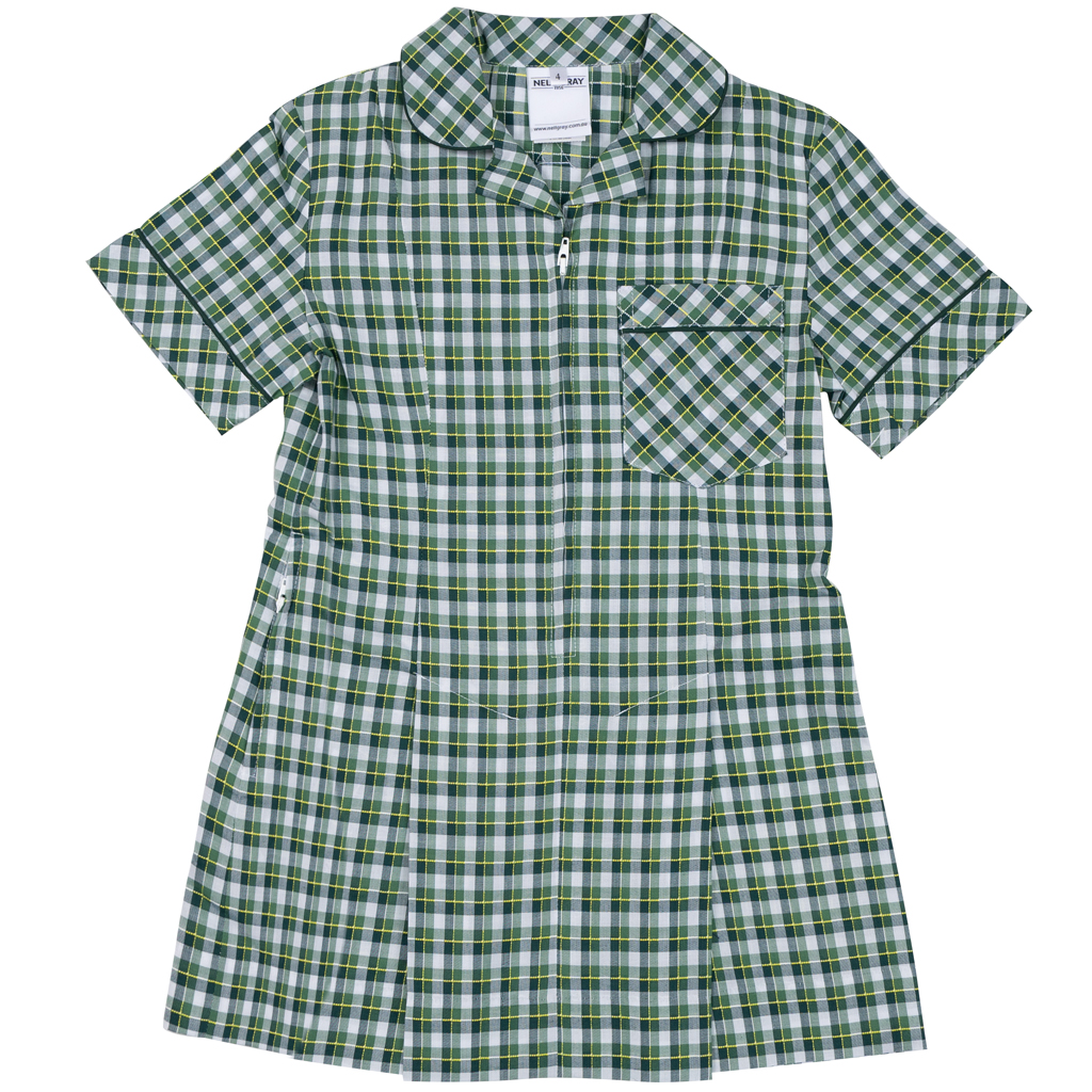 Green and white hot sale gingham school dress